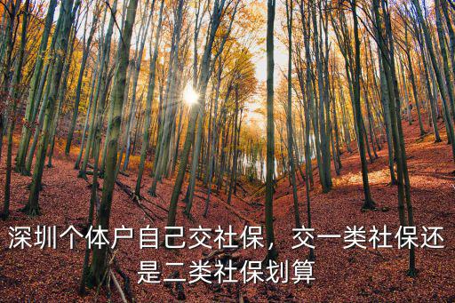 深圳個(gè)體戶(hù)自己交社保，交一類(lèi)社保還是二類(lèi)社保劃算