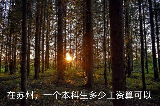 蘇州本科工資多少,一個本科生多少工資算可以