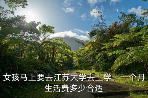 南京大學(xué)女生生活費多少,一個月生活費多少合適