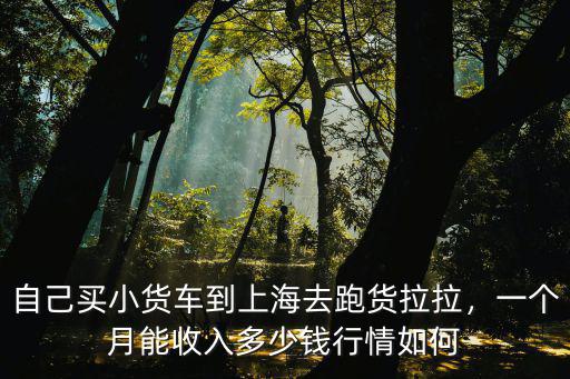 自己買小貨車到上海去跑貨拉拉，一個月能收入多少錢行情如何