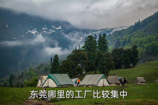東莞鳳崗哪里有比較好的電子廠,東莞哪里的工廠比較集中