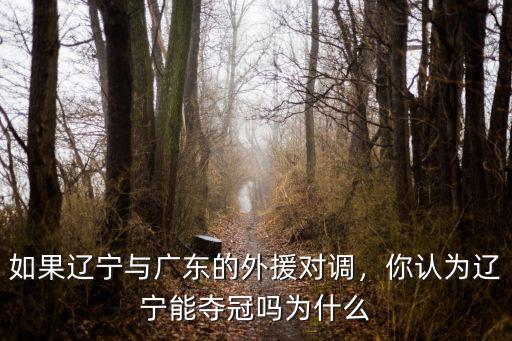 如果遼寧與廣東的外援對調，你認為遼寧能奪冠嗎為什么