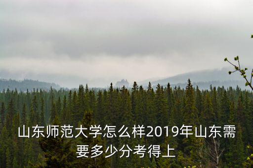 山東師范大學怎么樣2019年山東需要多少分考得上