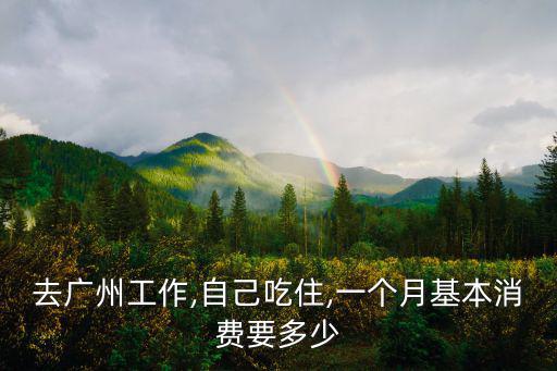 廣州哪里電器便宜多少錢一個月,一個月基本消費要多少