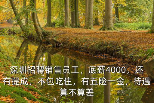 深圳酒店銷售工資多少,在深圳做房地產銷售