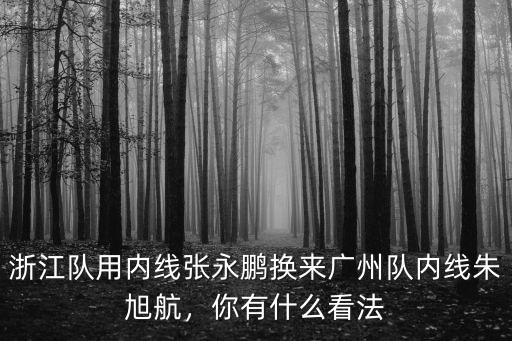 廣州隊張永鵬去哪里,北京隊和廣州隊比賽中