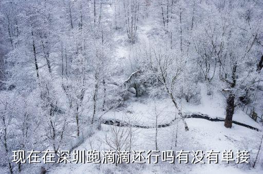 現在在深圳跑滴滴還行嗎有沒有單接