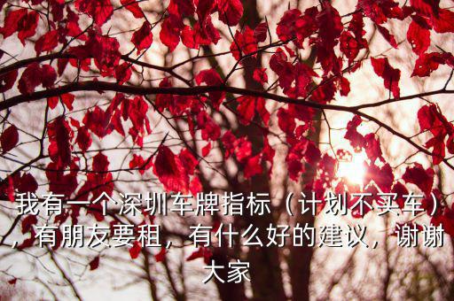 深圳一個月有多少指標,我有一個深圳車牌指標