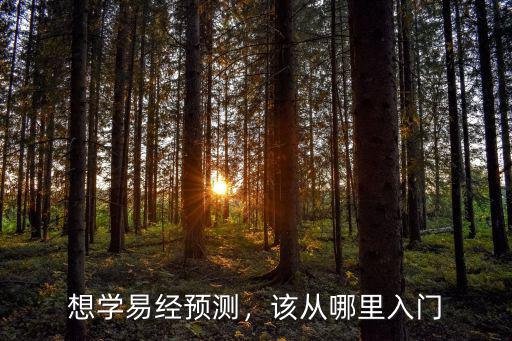 想學易經預測，該從哪里入門