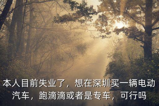 深圳租車跑滴滴哪里便宜,我想租車跑滴滴