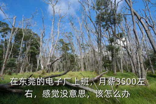 在東莞電子廠當班長有多少工資,東莞日華電子廠怎么樣