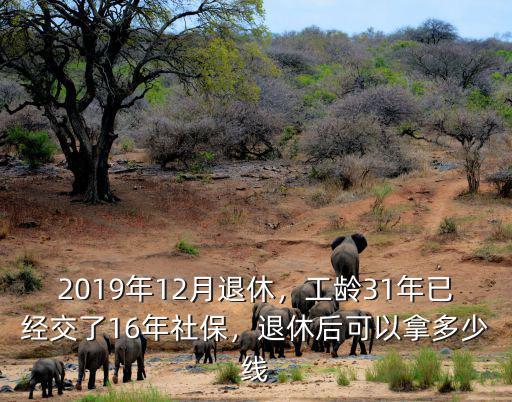 云浮2019退休領(lǐng)多少,2019年12月退休