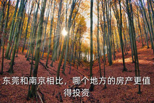 東莞和南京相比，哪個地方的房產更值得投資