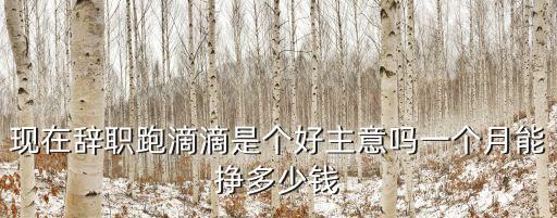 現在辭職跑滴滴是個好主意嗎一個月能掙多少錢