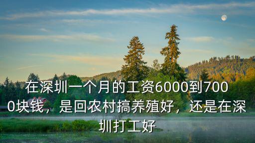 在深圳一個月的工資6000到7000塊錢，是回農(nóng)村搞養(yǎng)殖好，還是在深圳打工好