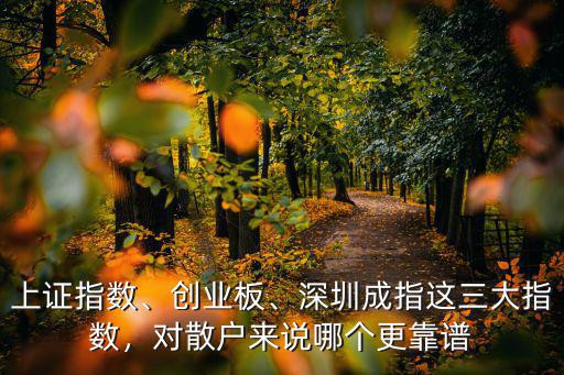 深圳成指多少能買,深圳成指這三大指數(shù)