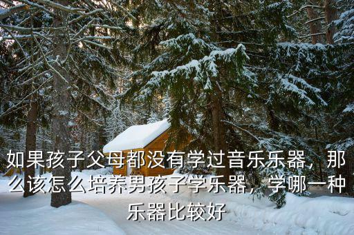如果孩子父母都沒有學過音樂樂器，那么該怎么培養男孩子學樂器，學哪一種樂器比較好