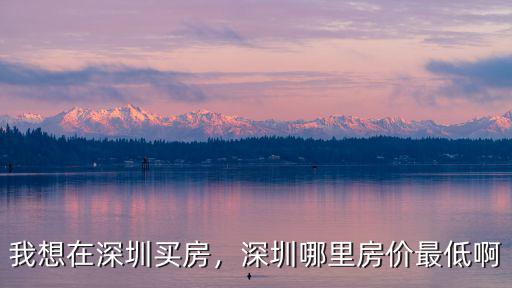 冬天在深圳哪里買房,我想在深圳買房