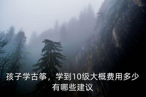 孩子學古箏，學到10級大概費用多少有哪些建議