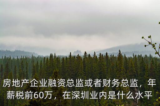 深圳凈水行業總監待遇是多少,深圳的工資一般都是多少
