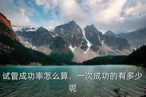 試管成功率怎么算，一次成功的有多少呢