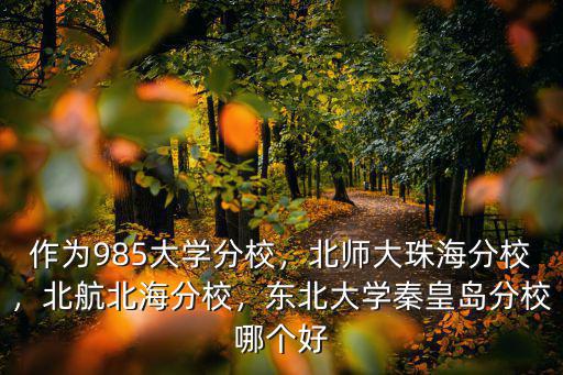 作為985大學(xué)分校，北師大珠海分校，北航北海分校，東北大學(xué)秦皇島分校哪個(gè)好