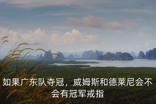 如果廣東隊(duì)奪冠，威姆斯和德萊尼會(huì)不會(huì)有冠軍戒指