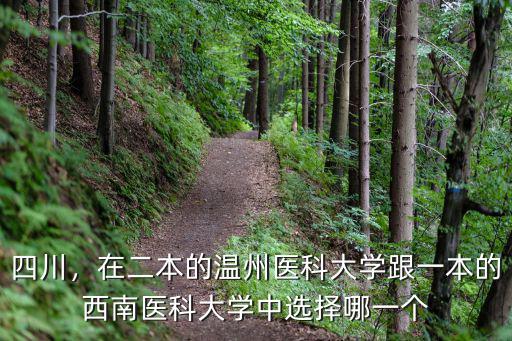 溫州醫科大學藥學多少分,溫州醫科大學