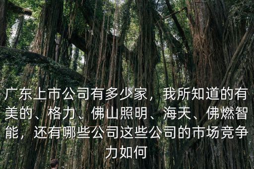 廣東佛山有多少家上市公司,廣東上市公司有多少家