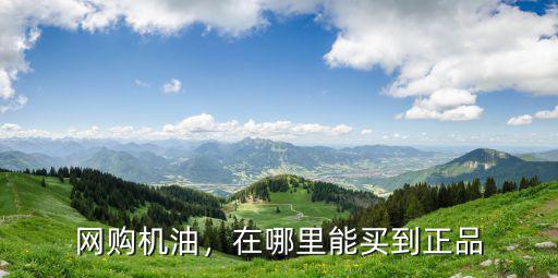 網(wǎng)購機(jī)油，在哪里能買到正品