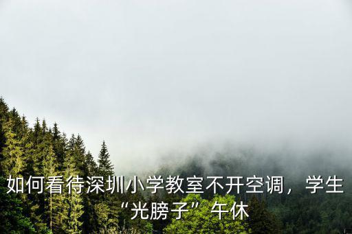 深圳小學五年級多少學生,小學五年級必須達到什么水平
