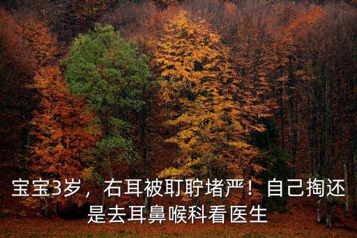 中山三院耳鼻喉科掏耳屎多少錢,去正規醫院掏耳朵多少錢