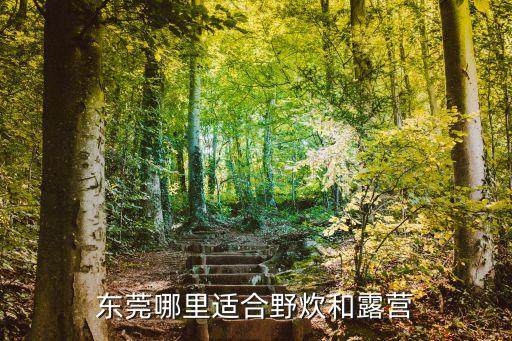 東莞哪里適合野炊和露營