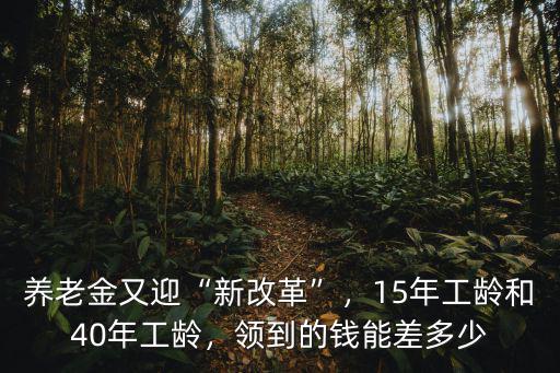 菏澤地區15年工齡領多少錢,15年工齡和40年工齡