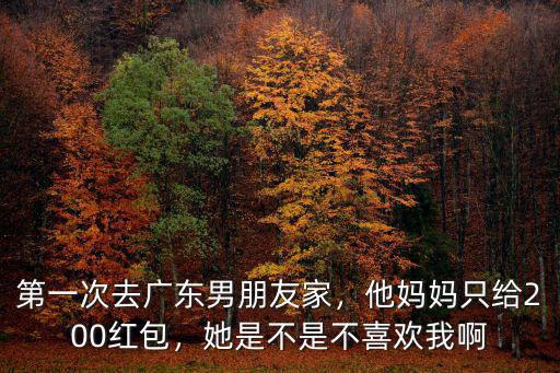 廣東陽春第一次去男朋友家里給多少紅包,第一次去廣東男朋友家