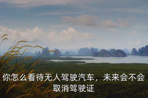 你怎么看待無人駕駛汽車，未來會(huì)不會(huì)取消駕駛證