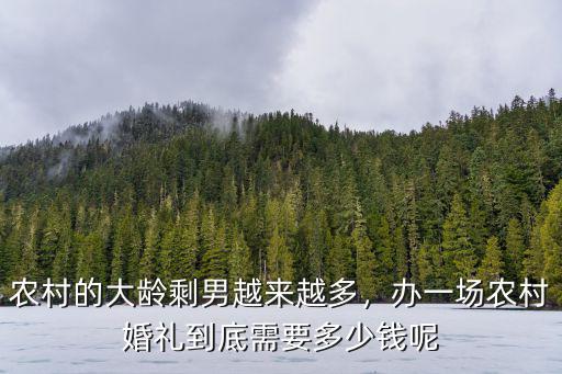 南通農村辦婚禮一般需要多少錢,需要多少彩禮