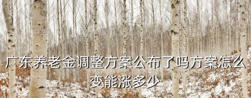 廣東的定額養老金是多少,廣東養老金調整方案公布了嗎