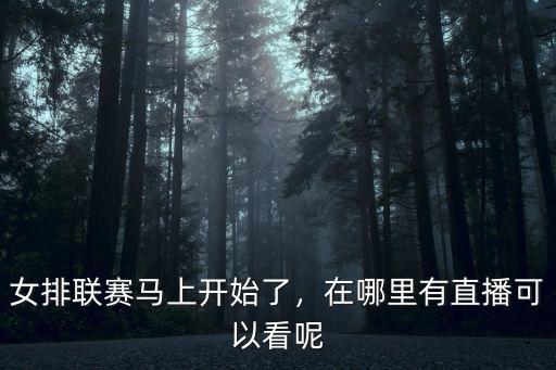 深圳哪里可以看排球聯(lián)賽中文,哪里可以看中國(guó)女排比賽