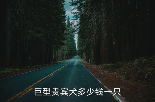 深圳貴賓犬賣多少錢一只,巨型貴賓犬多少錢一只