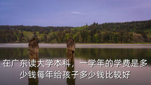 廣東小學(xué)生每學(xué)年每生學(xué)費(fèi)多少錢,一學(xué)年的學(xué)費(fèi)是多少錢