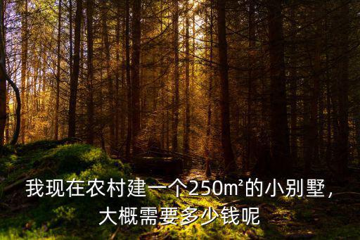 我現(xiàn)在農(nóng)村建一個(gè)250㎡的小別墅，大概需要多少錢呢