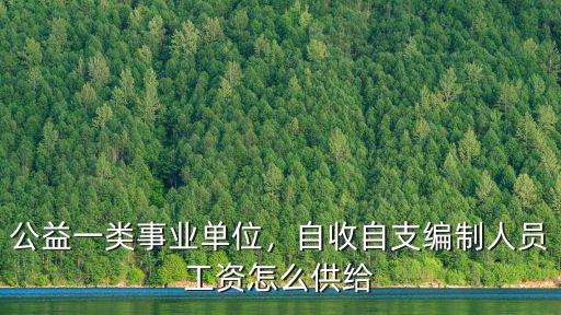 杭州公益一類工資一般多少,一個(gè)月工資大概有多少