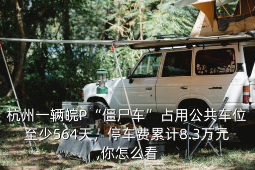 杭州一輛皖P“僵尸車”占用公共車位至少564天，停車費累計8.3萬元,你怎么看