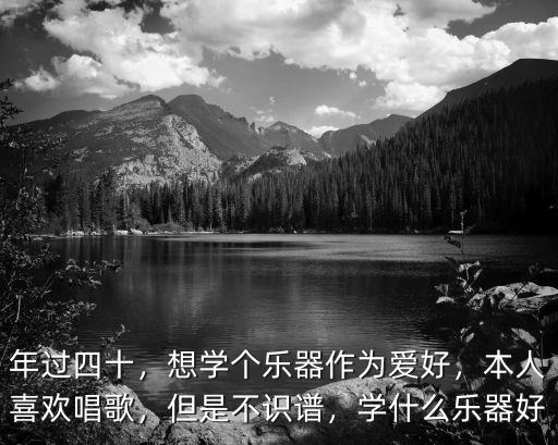 年過四十，想學個樂器作為愛好，本人喜歡唱歌，但是不識譜，學什么樂器好
