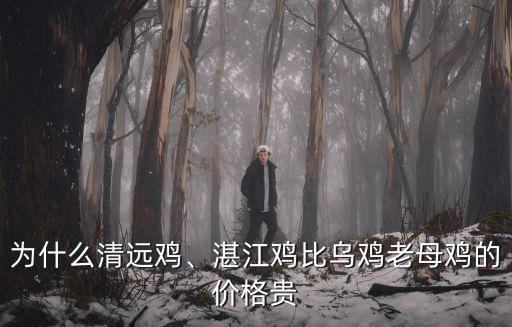 湛江生雞的價格是多少錢一斤,湛江雞比烏雞老母雞的價格貴