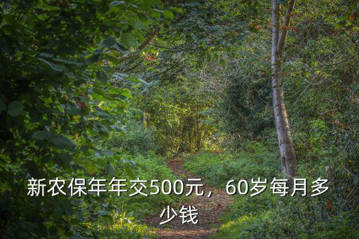 新農(nóng)保年年交500元，60歲每月多少錢(qián)