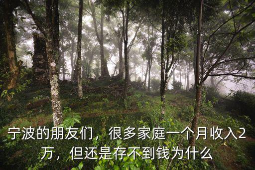 寧波的朋友們，很多家庭一個(gè)月收入2萬(wàn)，但還是存不到錢為什么