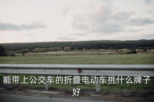 深圳折疊電動車怎么上公交,深圳關外的地鐵口