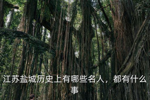 鹽城卞小娟同名的有多少,鹽城婚鬧是怎么樣的